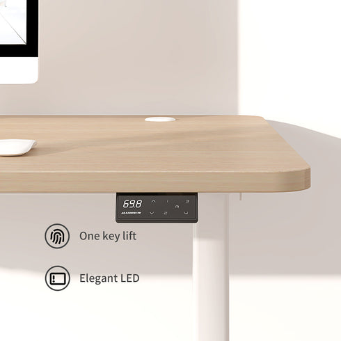 Maidesite Standard Series Electric Height Adjustable Standing Desk 48 Inches